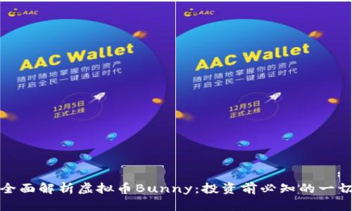 全面解析虚拟币Bunny：投资前必知的一切