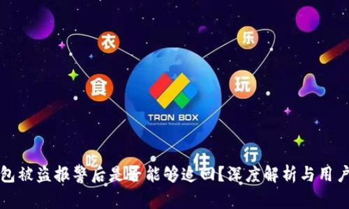 TP钱包被盗报警后是否能够追回？深度解析与用户指南