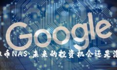 虚拟币NAS：未来的投资机会还是泡沫？