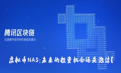 虚拟币NAS：未来的投资机会还是泡沫？