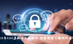 2023年CXC虚拟币全面解析：
