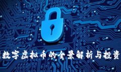 中国数字虚拟币的全景解