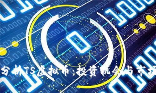 深入分析TS虚拟币：投资机会与市场前景