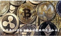 如何在iOS设备上安全快捷