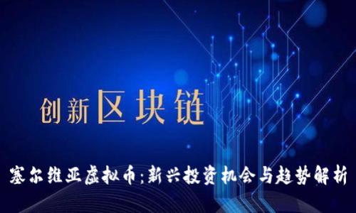 塞尔维亚虚拟币：新兴投资机会与趋势解析
