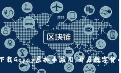 如何轻松下载Gopay虚拟币应