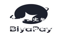 虚拟币充币提币源码：提