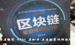 深度解析 GSGC 虚拟币：未