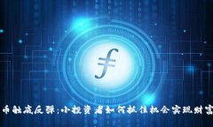 虚拟币触底反弹：小投资