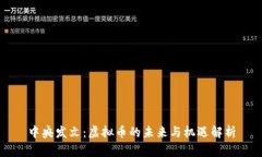 中央发文：虚拟币的未来