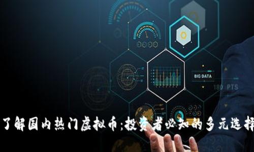 了解国内热门虚拟币:投资者必知的多元选择