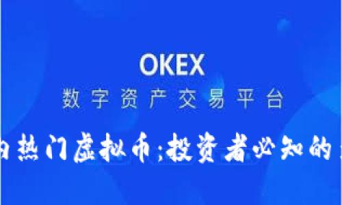 了解国内热门虚拟币:投资者必知的多元选择