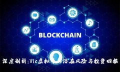 深度剖析：Vic虚拟币的潜