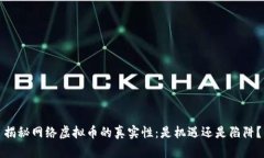 揭秘网络虚拟币的真实性
