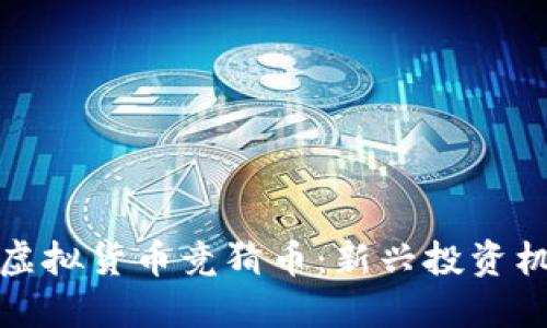 深入探讨虚拟货币竞猜币：新兴投资机遇与风险