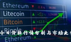 TPT币今日价格行情分析与市场走势预测