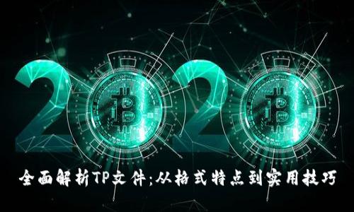 全面解析TP文件:从格式特点到实用技巧