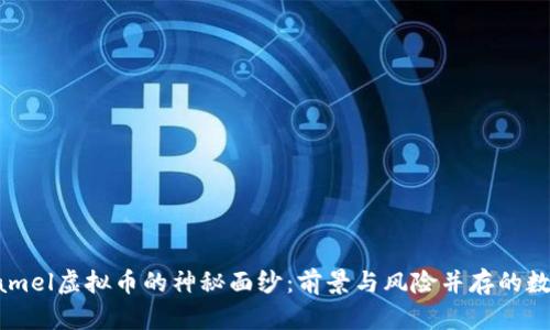 揭开Camel虚拟币的神秘面纱：前景与风险并存的数字资产