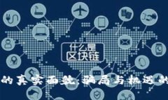 虚拟币的真实面貌：骗局