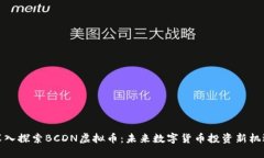 深入探索BCDN虚拟币：未来