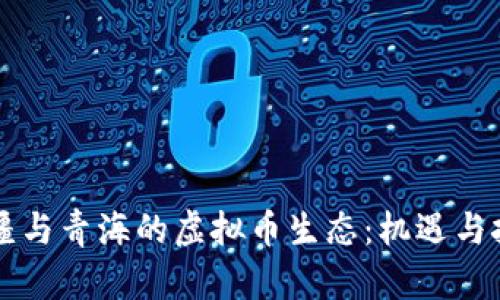 新疆与青海的虚拟币生态:机遇与挑战