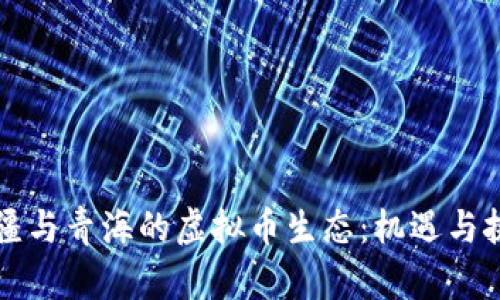 新疆与青海的虚拟币生态:机遇与挑战