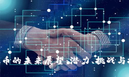 KDA虚拟币的未来展望：潜力、挑战与投资机会