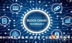 探秘TP钱包交流群：数字资