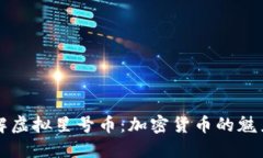 深入理解虚拟星号币：加