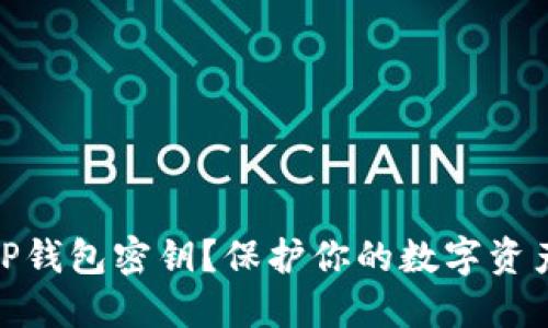 什么是TP钱包密钥?保护你的数字资产的关键