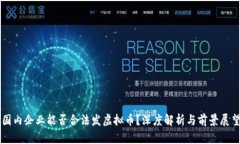 国内企业能否合法发虚拟