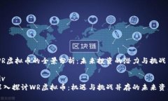 WR虚拟币的全景分析：未来