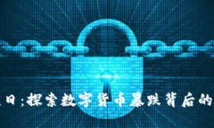 虚拟币灾难日：探索数字