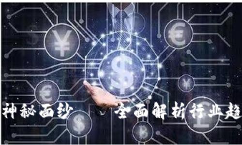 揭开虚拟币的神秘面纱——全面解析行业趋势与投资机会