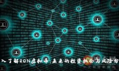 深入了解RDN虚拟币：未来