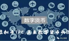 深入了解虚拟币TPC：未来
