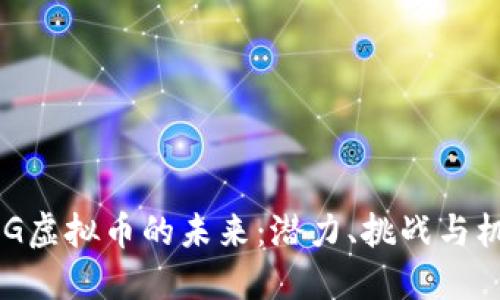 OMG虚拟币的未来：潜力、挑战与机遇