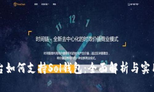 TP平台如何支持Sol钱包：全面解析与实用指南