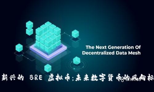 新兴的 BRE 虚拟币：未来数字货币的风向标