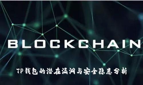 TP钱包的潜在漏洞与安全隐患分析