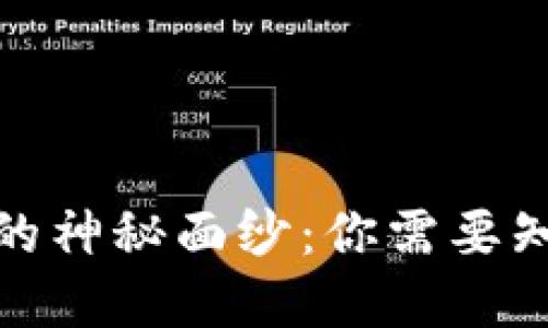 揭开虚拟币钱包的神秘面纱：你需要知道的种类与选择