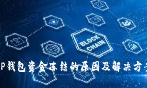 TP钱包资金冻结的原因及解决方案