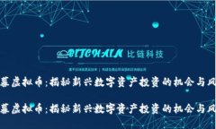 私募虚拟币：揭秘新兴数