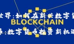 怀柔虚拟币的世界：如何