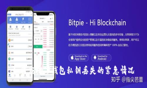 如何应对TP钱包私钥丢失的紧急情况
