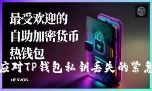 如何应对TP钱包私钥丢失的紧急情况