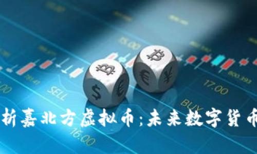深入解析嘉北方虚拟币:未来数字货币的新星