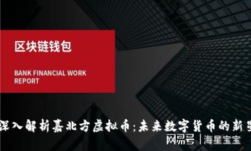 深入解析嘉北方虚拟币:未来数字货币的新星