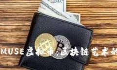 深入了解MUSE虚拟币：区块