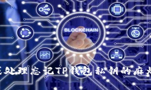 如何恢复或处理忘记TP钱包私钥的麻烦：实用指南